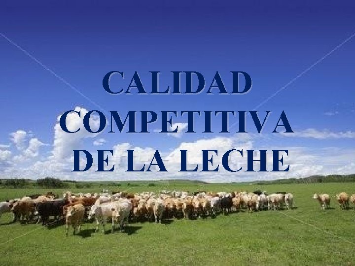 CALIDAD COMPETITIVA DE LA LECHE 
