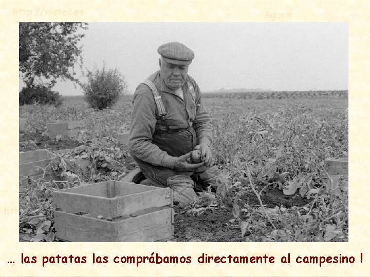 … las patatas las comprábamos directamente al campesino ! 
