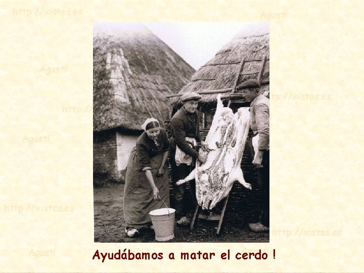 Ayudábamos a matar el cerdo ! 