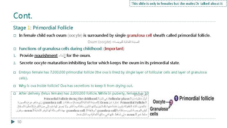 This slide is only in females but the males Dr talked about it Cont.