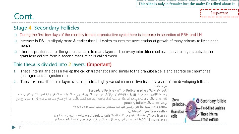 This slide is only in females but the males Dr talked about it Cont.