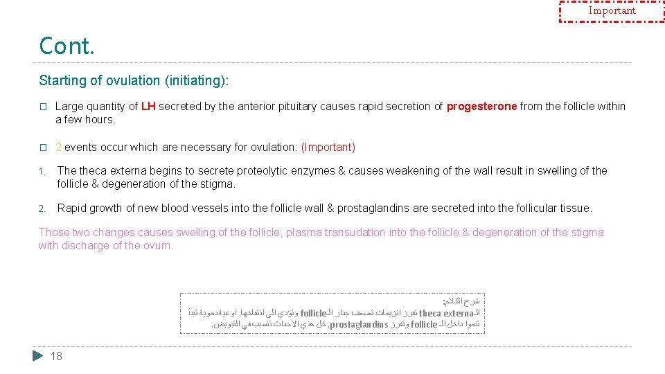 Important Cont. Starting of ovulation (initiating): � Large quantity of LH secreted by the