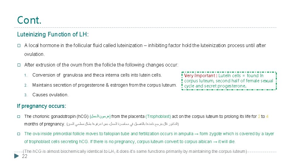 Cont. Luteinizing Function of LH: � A local hormone in the follicular fluid called