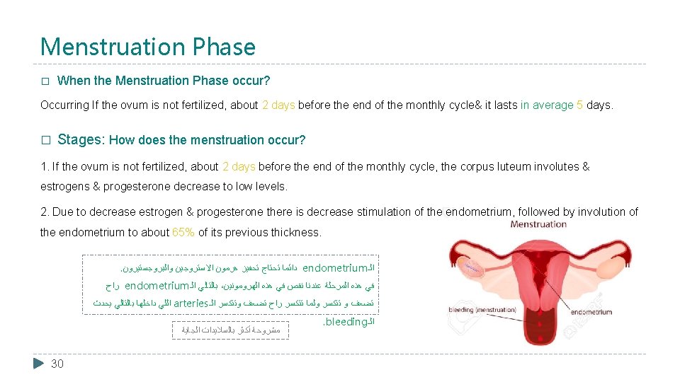 Menstruation Phase When the Menstruation Phase occur? � Occurring If the ovum is not