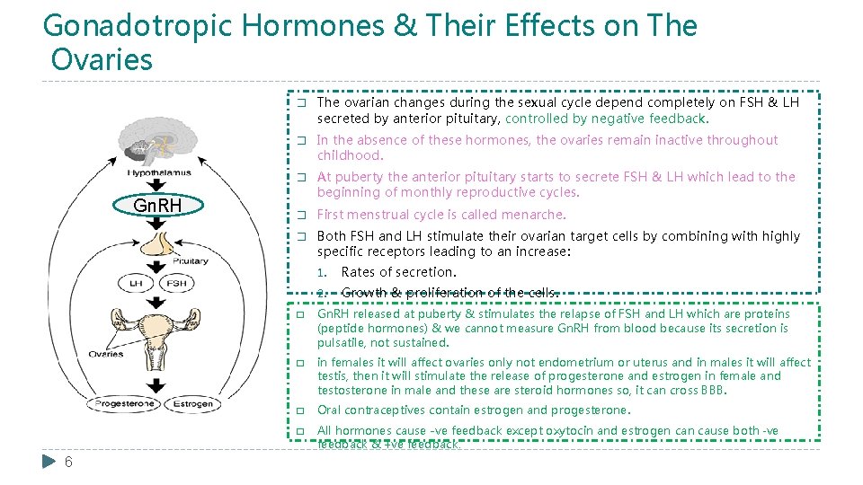 Gonadotropic Hormones & Their Effects on The Ovaries Gn. RH 6 � The ovarian