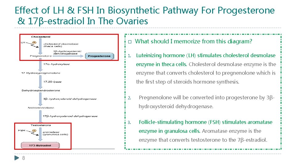 Effect of LH & FSH In Biosynthetic Pathway For Progesterone & 17β-estradiol In The