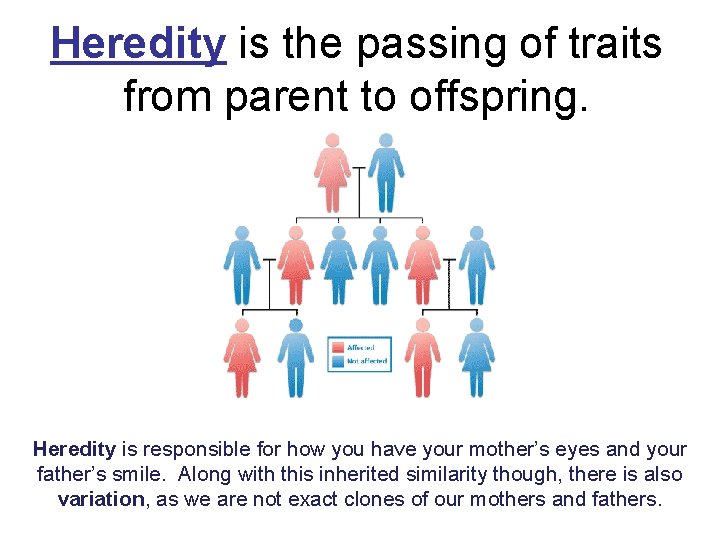 Heredity is the passing of traits from parent to offspring. Heredity is responsible for