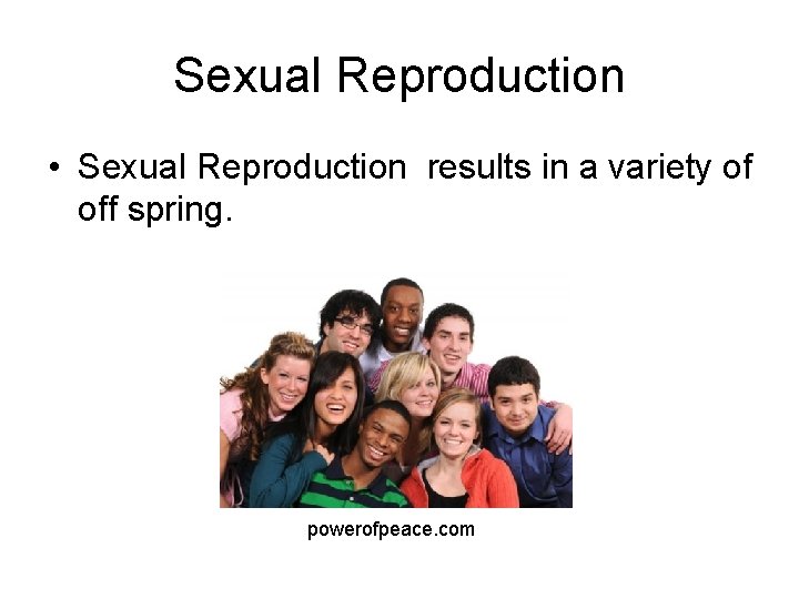 Sexual Reproduction • Sexual Reproduction results in a variety of off spring. powerofpeace. com