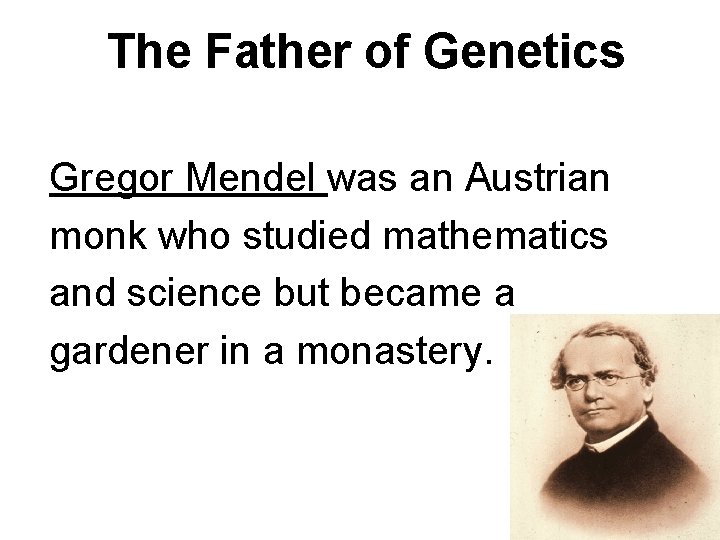 The Father of Genetics Gregor Mendel was an Austrian monk who studied mathematics and