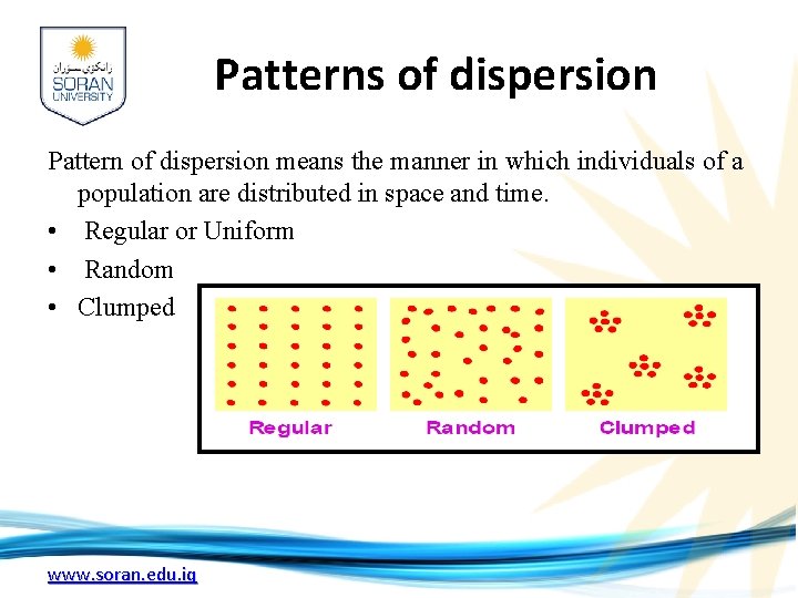 Patterns of dispersion Pattern of dispersion means the manner in which individuals of a