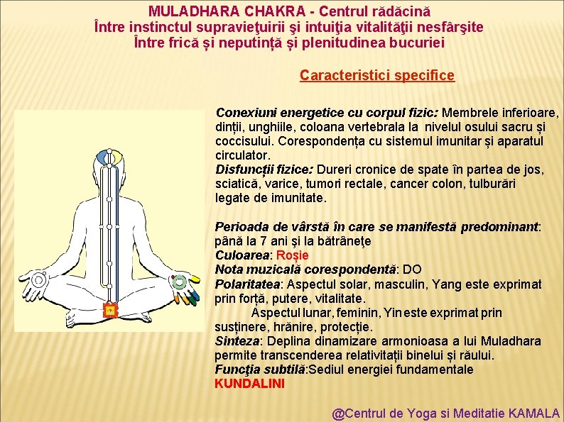 MULADHARA CHAKRA - Centrul rădăcină Între instinctul supravieţuirii şi intuiţia vitalităţii nesfârşite Între frică