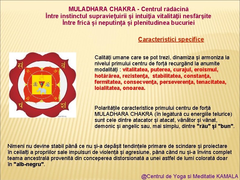 MULADHARA CHAKRA - Centrul rădăcină Între instinctul supravieţuirii şi intuiţia vitalităţii nesfârşite Între frică