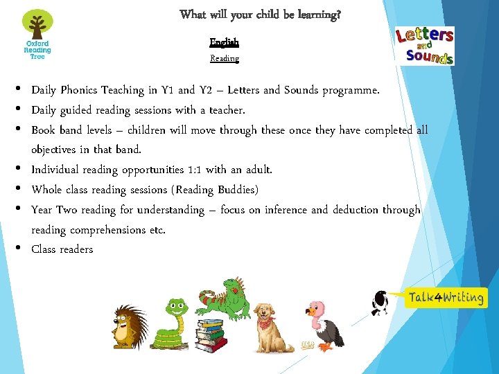 What will your child be learning? English Reading • Daily Phonics Teaching in Y