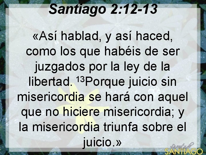 Santiago 2: 12 -13 «Así hablad, y así haced, como los que habéis de