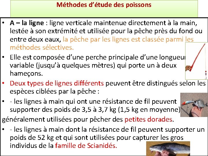 Méthodes d’étude des poissons • A – la ligne : ligne verticale maintenue directement