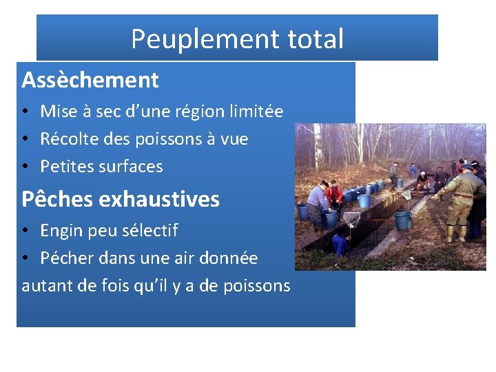 Peuplement total Assèchement • Mise à sec d’une région limitée • Récolte des poissons