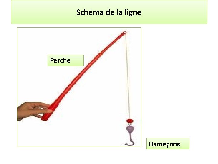 Schéma de la ligne Perche Hameçons 