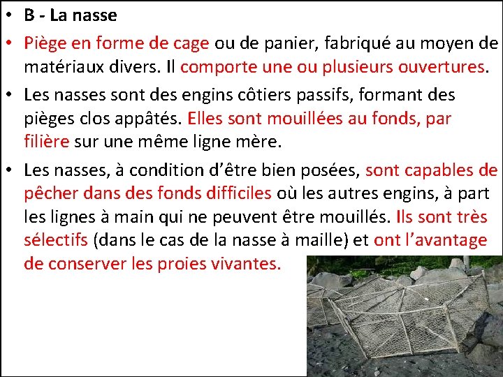  • B - La nasse • Piège en forme de cage ou de