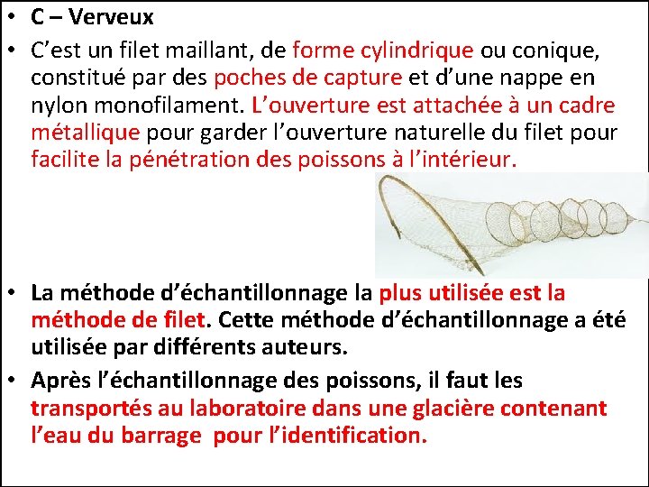  • C – Verveux • C’est un filet maillant, de forme cylindrique ou