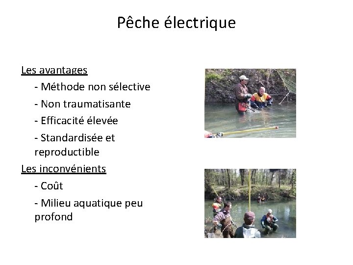 Pêche électrique Les avantages - Méthode non sélective - Non traumatisante - Efficacité élevée