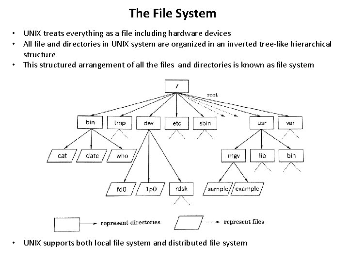 The File System • UNIX treats everything as a file including hardware devices •