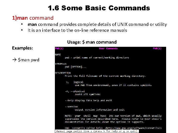 1. 6 Some Basic Commands 1)man command • man command provides complete details of