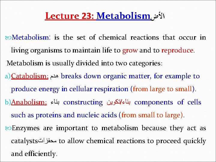 Lecture 23: Metabolism ﺍﻷﺽ Metabolism: is the set of chemical reactions that occur in
