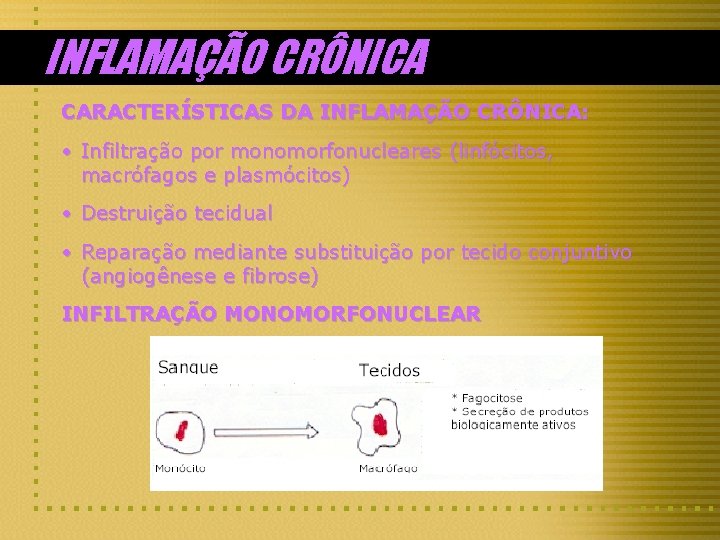 INFLAMAÇÃO CRÔNICA CARACTERÍSTICAS DA INFLAMAÇÃO CRÔNICA: • Infiltração por monomorfonucleares (linfócitos, macrófagos e plasmócitos)