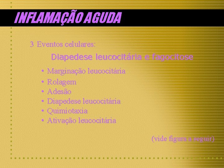 INFLAMAÇÃO AGUDA 3 Eventos celulares: Diapedese leucocitária e fagocitose • Marginação leucocitária • Rolagem