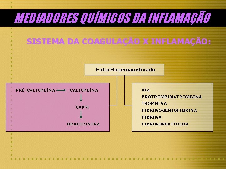 MEDIADORES QUÍMICOS DA INFLAMAÇÃO SISTEMA DA COAGULAÇÃO X INFLAMAÇÃO: Fator Hageman. Ativado PRÉ-CALICREÍNA XIa