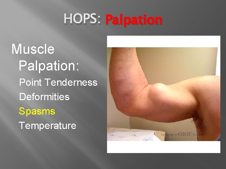 HOPS: Palpation Muscle Palpation: Point Tenderness Deformities Spasms Temperature 