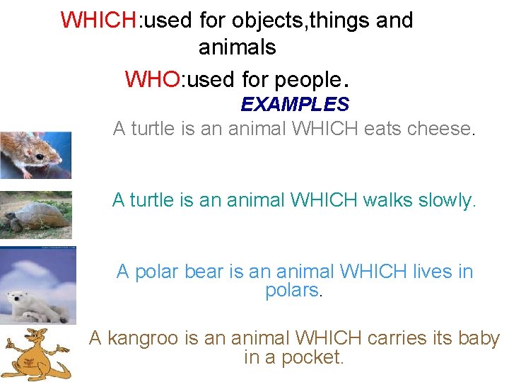 WHICH: used for objects, things and animals WHO: used for people. EXAMPLES A turtle