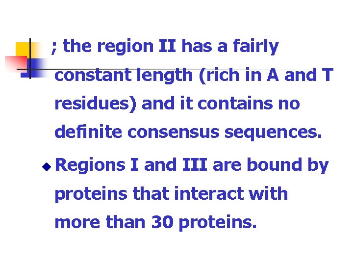 ; the region II has a fairly constant length (rich in A and T