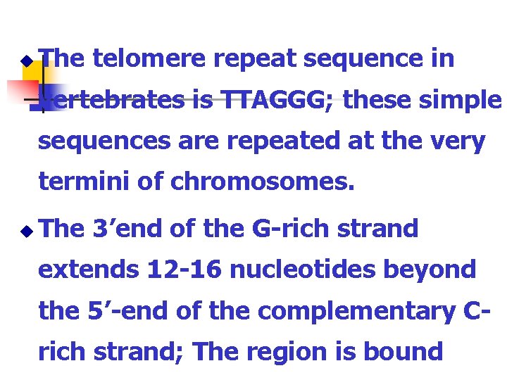 u The telomere repeat sequence in vertebrates is TTAGGG; these simple sequences are repeated