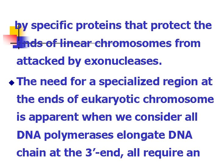 by specific proteins that protect the ends of linear chromosomes from attacked by exonucleases.