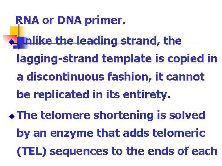 RNA or DNA primer. u Unlike the leading strand, the lagging-strand template is copied