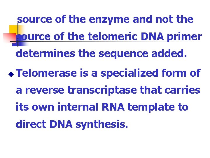 source of the enzyme and not the source of the telomeric DNA primer determines