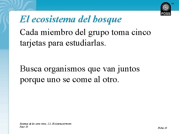 TM El ecosistema del bosque Cada miembro del grupo toma cinco tarjetas para estudiarlas.