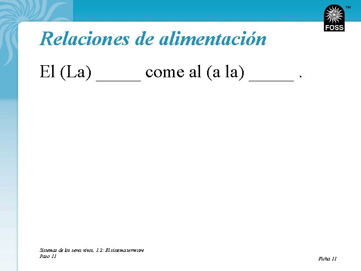 TM Relaciones de alimentación El (La) _____ come al (a la) _____. Sistemas de