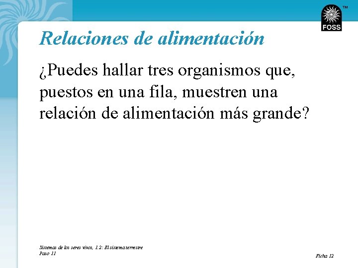 TM Relaciones de alimentación ¿Puedes hallar tres organismos que, puestos en una fila, muestren