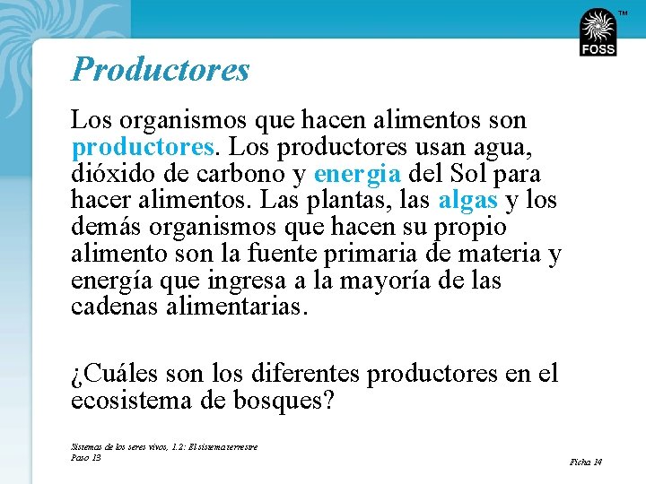 TM Productores Los organismos que hacen alimentos son productores. Los productores usan agua, dióxido