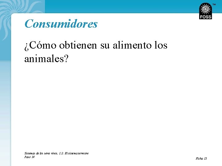 TM Consumidores ¿Cómo obtienen su alimento los animales? Sistemas de los seres vivos, 1.