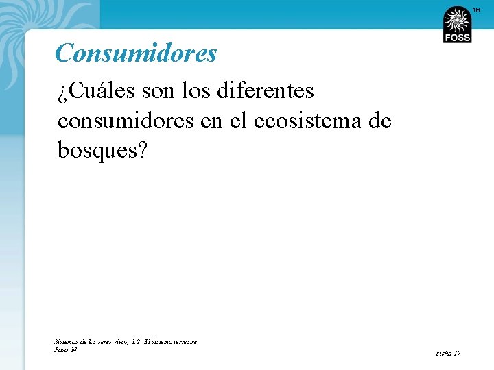 TM Consumidores ¿Cuáles son los diferentes consumidores en el ecosistema de bosques? Sistemas de