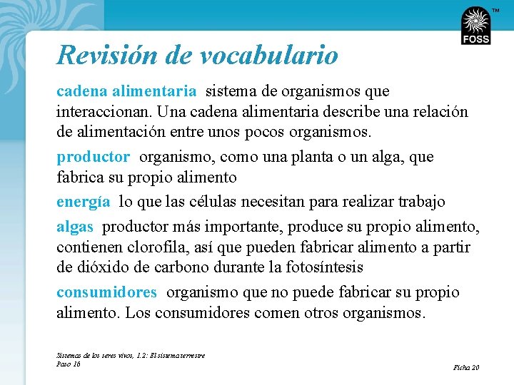 TM Revisión de vocabulario cadena alimentaria sistema de organismos que interaccionan. Una cadena alimentaria