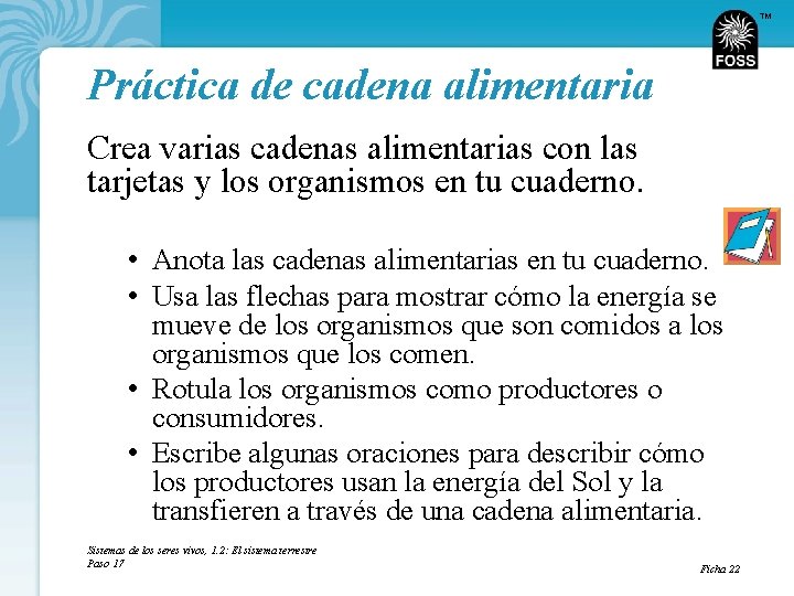 TM Práctica de cadena alimentaria Crea varias cadenas alimentarias con las tarjetas y los