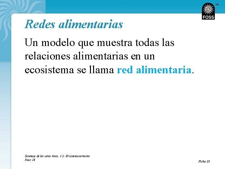 TM Redes alimentarias Un modelo que muestra todas las relaciones alimentarias en un ecosistema