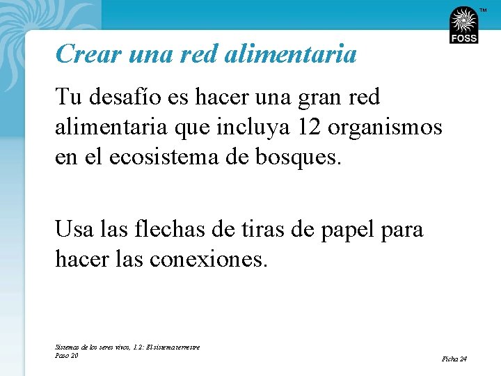 TM Crear una red alimentaria Tu desafío es hacer una gran red alimentaria que