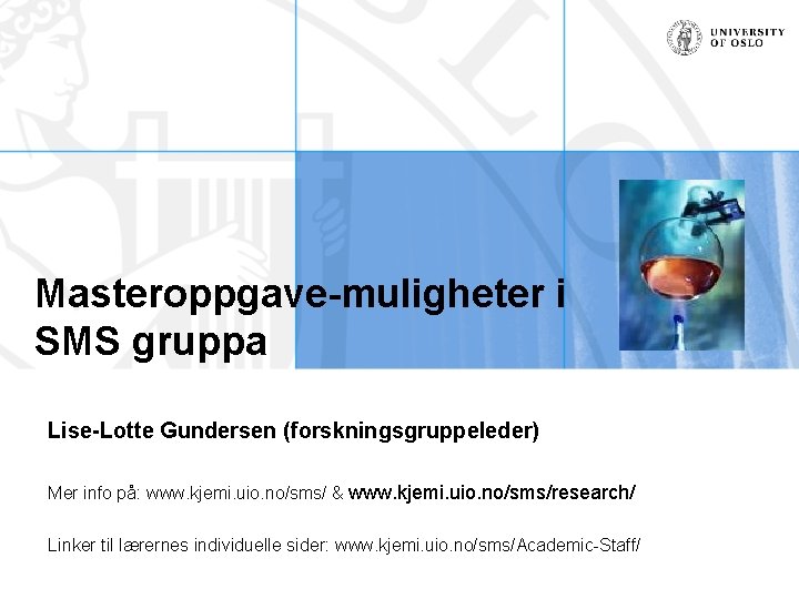 Masteroppgave-muligheter i SMS gruppa Lise-Lotte Gundersen (forskningsgruppeleder) Mer info på: www. kjemi. uio. no/sms/