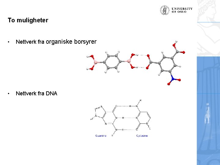 To muligheter • Nettverk fra organiske borsyrer • Nettverk fra DNA 