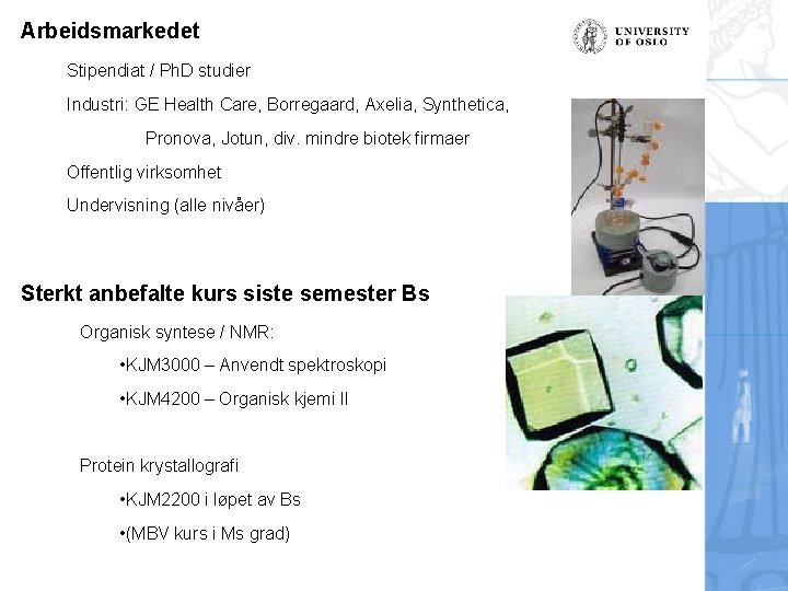 Arbeidsmarkedet Stipendiat / Ph. D studier Industri: GE Health Care, Borregaard, Axelia, Synthetica, Pronova,